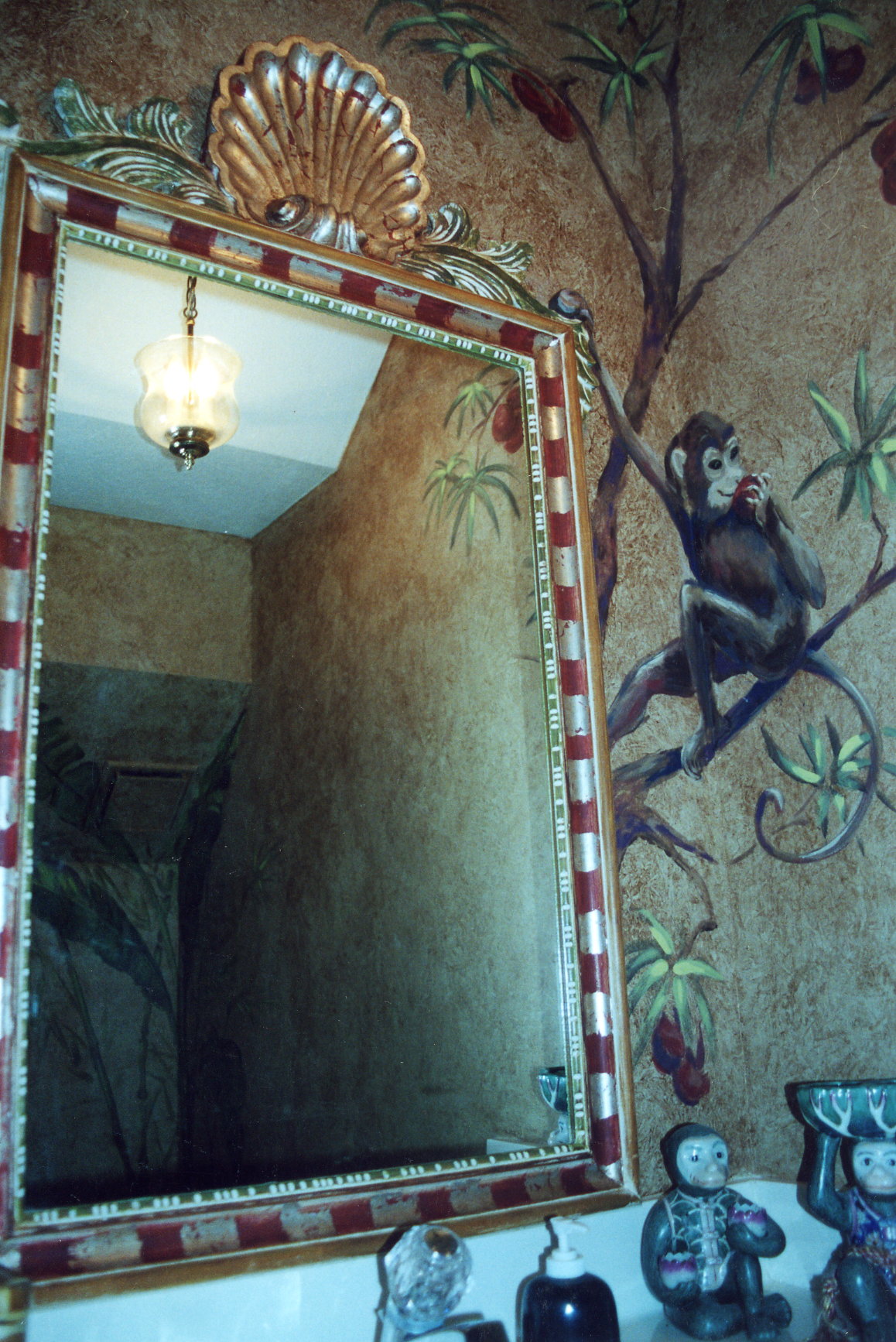 Monkey_and_Mirror