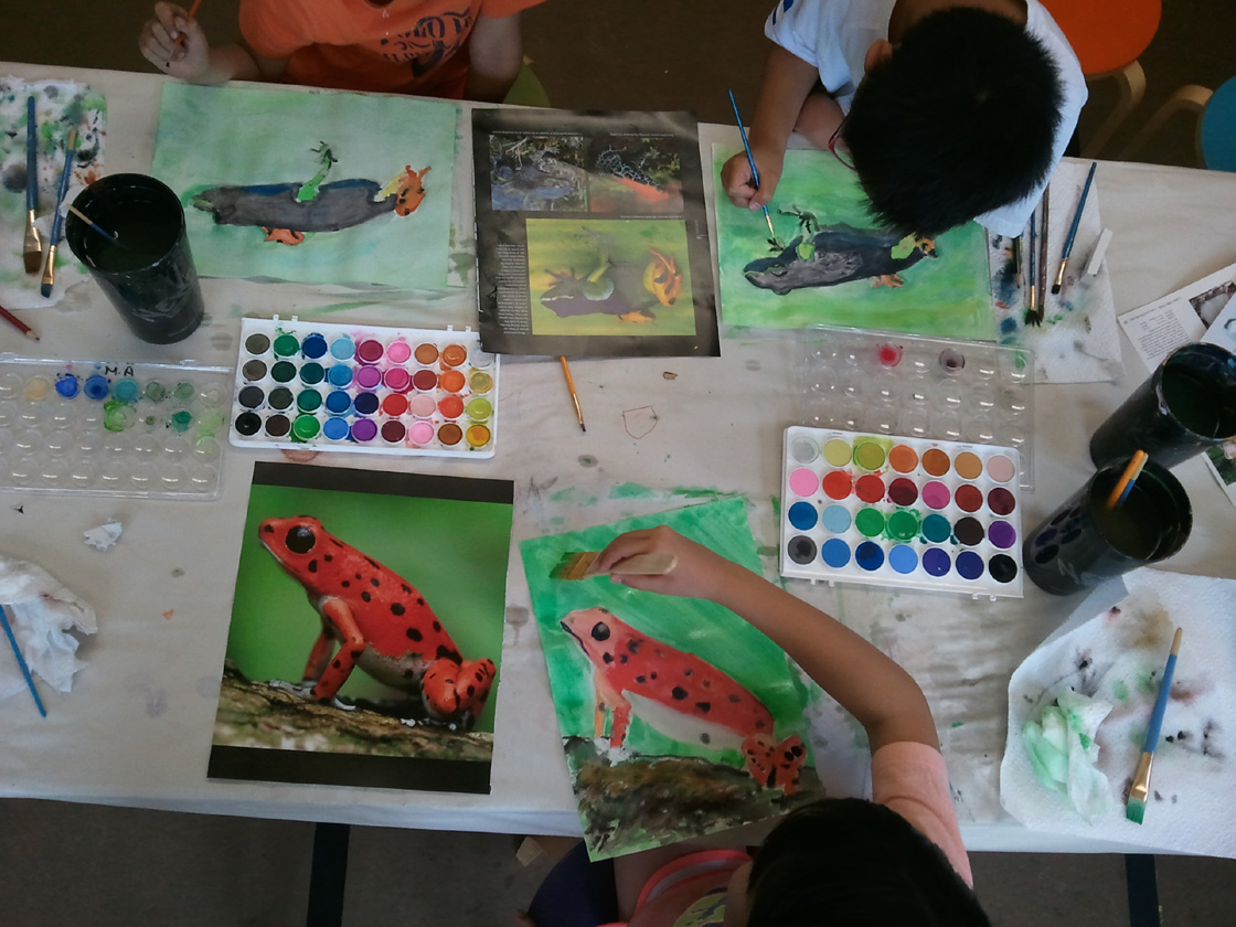 Student_Tree_Frogs